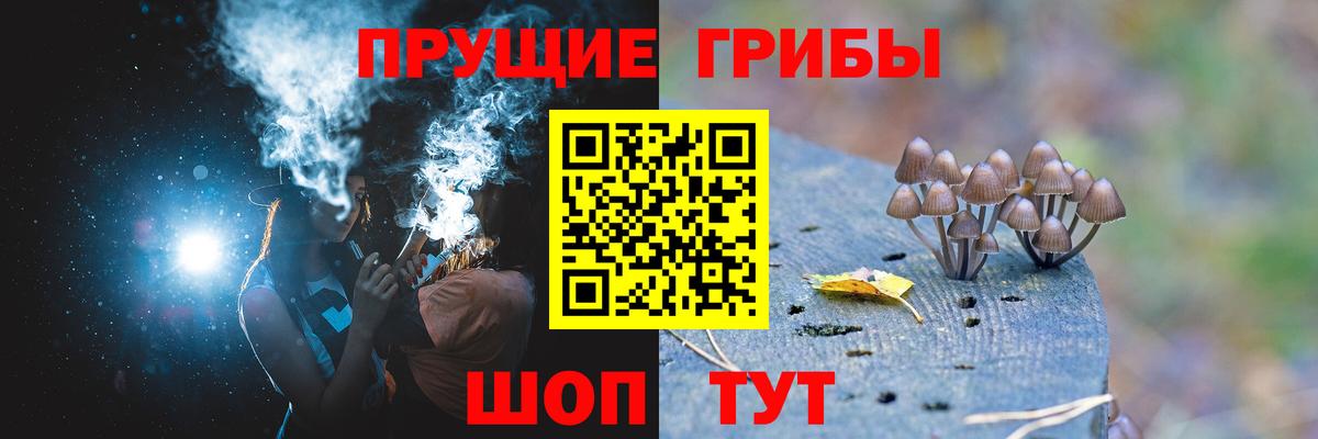 Борисоглебск  Псилоцибиновые грибы Magic Shrooms  Псилоцибиновые грибы Psilocybe  Вход с VPN 